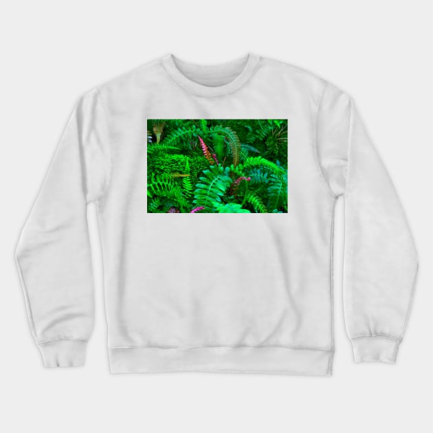 Ferns Galore Crewneck Sweatshirt by JimDeFazioPhotography